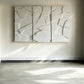 CANYON - LOT DE 3